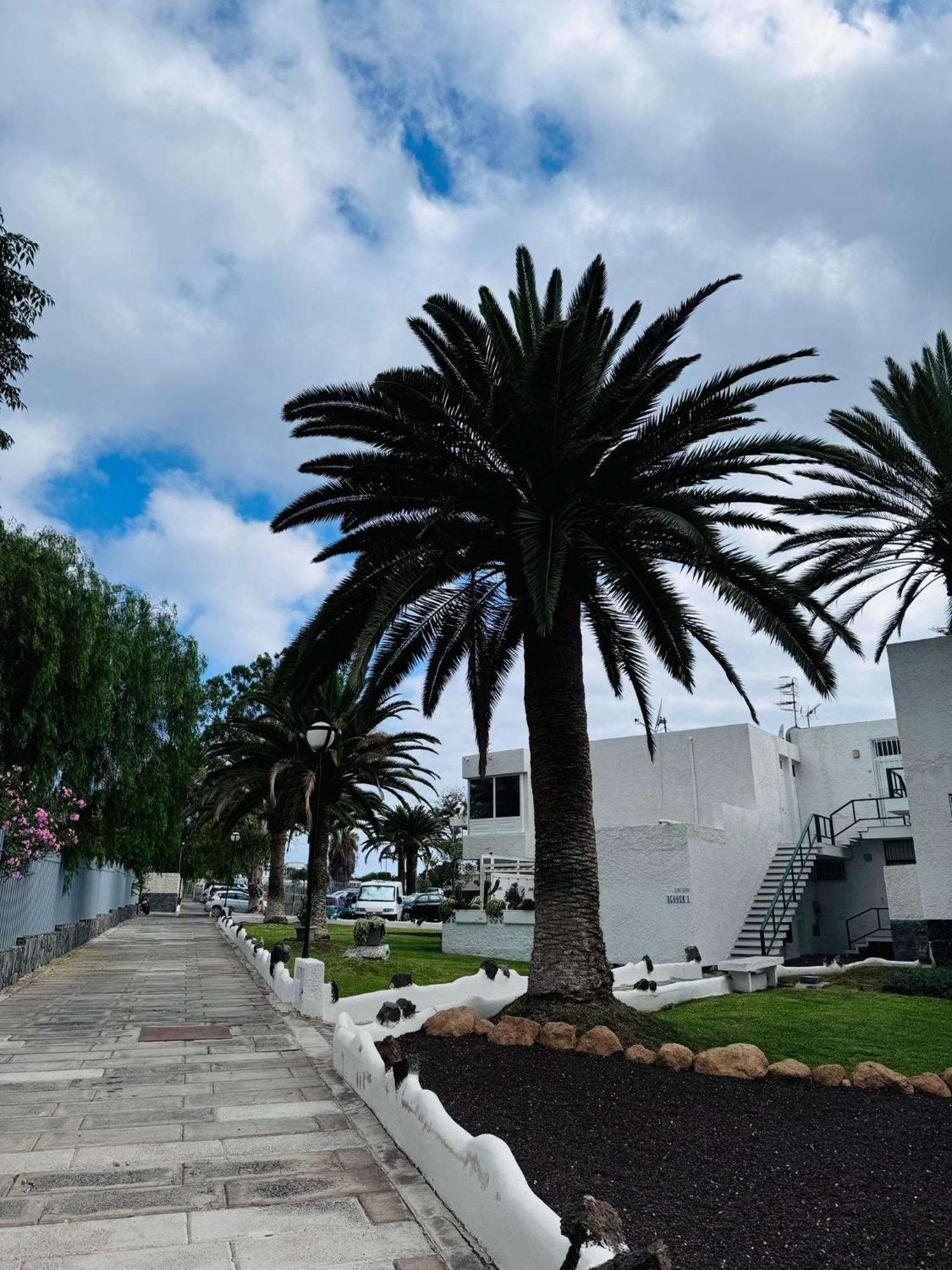 Marysol - Lovely Studio Tenerife Sur Arona  Exterior foto