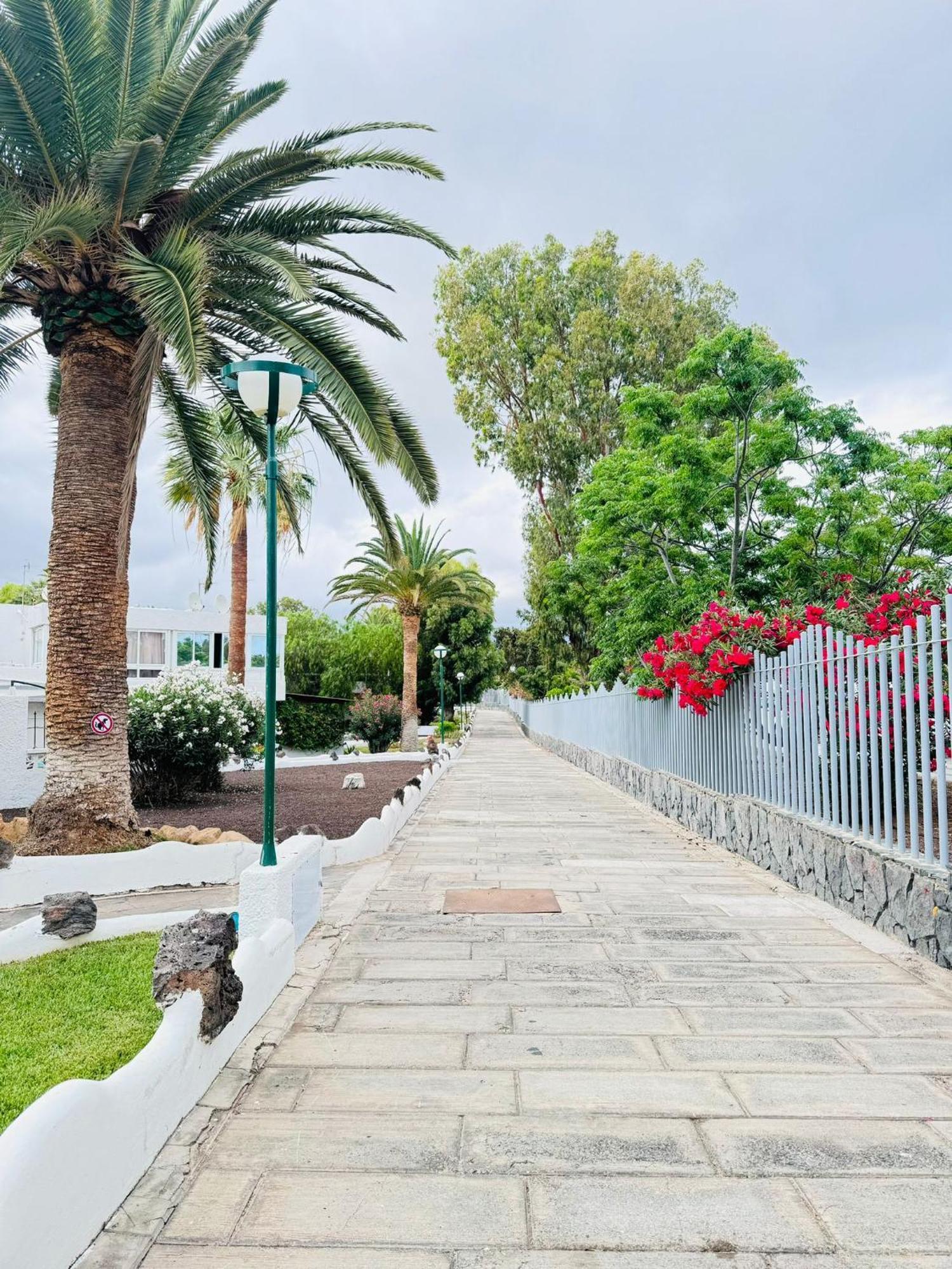 Marysol - Lovely Studio Tenerife Sur Arona  Exterior foto